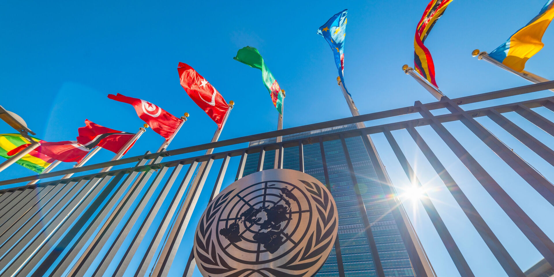 Driving policy change: Strategies that work in global health